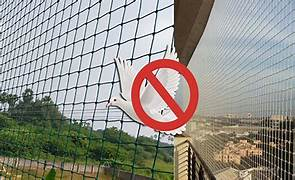 Anti Seagull Nets installation by KGR Enterprises for residential and commercial safety solutions