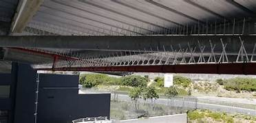 Bird Spikes installation by KGR Enterprises for residential and commercial safety solutions