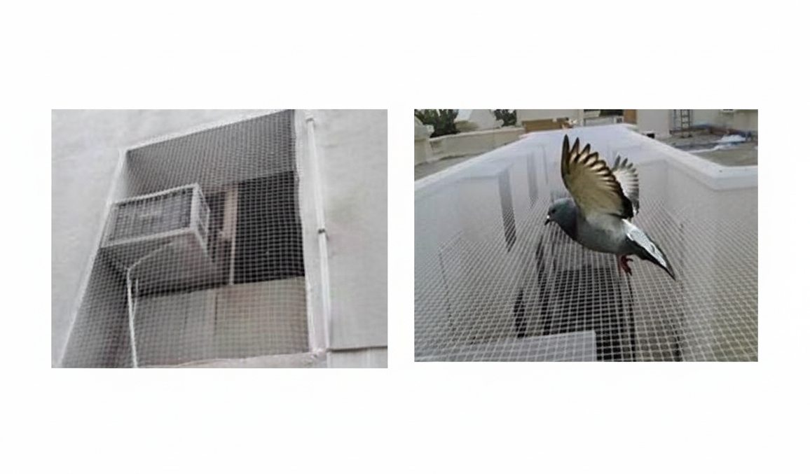 Pigeon Nets installation view 2