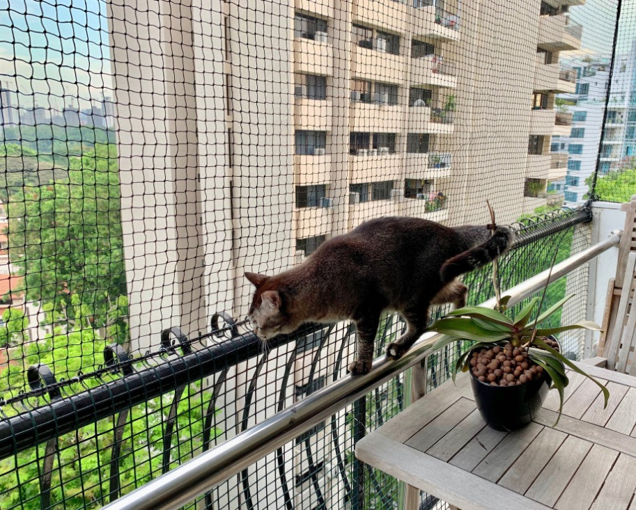 Pets Safety Nets installation view 2